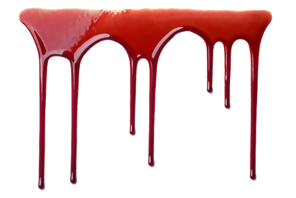 Types of bleed that you may find on your pet to learn how to treat it