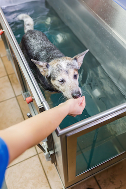 hydrotherapy